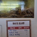 7-3 버스주차장 | 영도 오션뷰 영도현지인맛집 돈하리 북해도산 빵게 세트 메뉴 후기