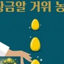 불사조농장 네이버블로그