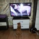 미동농장 이미지