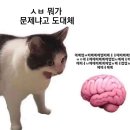 임태성신경과의원 이미지