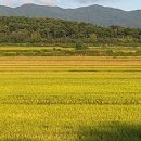 솔뫼독채풀빌라 | 경주독채풀빌라 깨끗한 솔뫼독채풀빌라 방문 후기