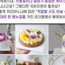 라크렘제과실용전문학원