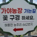 가야 농장 이미지