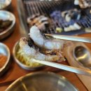 태동장어 이미지