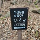 제천북로(2)L | [충북제천] 리솜 레스트리 방문 후기(S25/트레킹코스/마묵라운지)