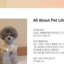 예뻐할개