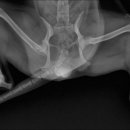 구름동물병원 이미지