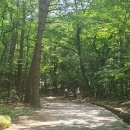 설악산파크 이미지