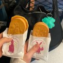 데이식스 대전 콘서트 막콘 후기