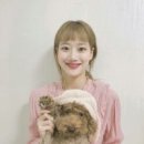 더 나은 이미지