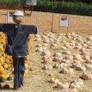 학당농장 이미지