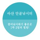 안골 낚시터 이미지