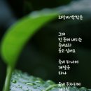 박학준 이미지