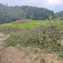 사후동저수지 이미지