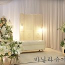 슈가파티 이미지