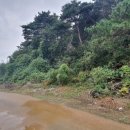 삼봉3리마을회관 이미지