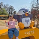 처인성유치원 어린이놀이터 | 15개월 아기랑 서울 어린이대공원 동물원 봄나들이 후기 주차팁