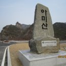 신비의소나무 앞 이미지