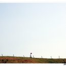 몽촌공원 Daum카페