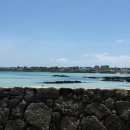 해비치목장 | 제주도 3박 4일 동쪽여행(2일차: 갈치조림맛집, 아베베비킬라, 카멜커피, 제동목장, 해비치호텔, 갓더라면)