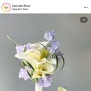 한나비플뢰르 이미지