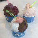 4月. 벚꽃의 꽃말은 중간고사