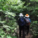 기장=연화봉(蓮花峰·154m)과 봉대산(峰台山·229m)= 휴식을 포함하면 5시간 이미지