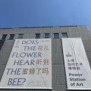 비엔날레 | [상해] 꽃은 벌의 소리를 들을까? —제15회 상하이 비엔날레 후기