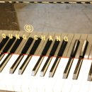 피아노의숲음악학원 이미지