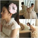 바니헤어 이미지