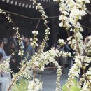 안성(서울) 이미지