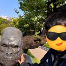 강원특별자치도장애인 생산품판매시설 | 원주 가볼만한 곳 힐링하기 좋은 호수뷰 대형카페 카페 고래호수
