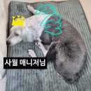 별헤어 - 세종특별자치시 마음로 272-4 | 동탄 1인 미용실 추천 | 스타일링 만족했던 향기별헤어 미디움기장 레이어드 펌 내돈내산 후기