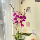 화원삼거리 이미지