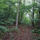 초부2리 이미지