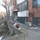 안중초롱길 이미지