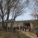 섬진강대숲길 이미지