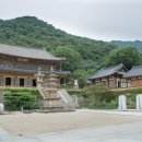 순천-67호 이미지