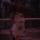 배이산업(주) 이미지