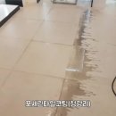 송탄드림약국 이미지