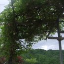 주주리농장 이미지