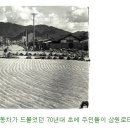 삼원로타리 이미지