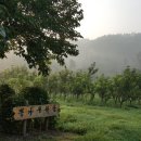 견우농장 이미지