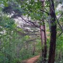 청대산 주차장 이미지