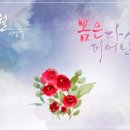 시샘달 이미지