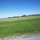 대평원목장 이미지