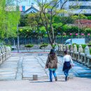 장충단공원 이미지