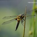 다름공인중개사사무소 이미지