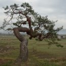 대정호수 이미지