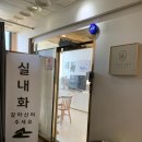 으노네 가족사진 촬영 천안 스튜디오 유유히 (메이크업 후기)